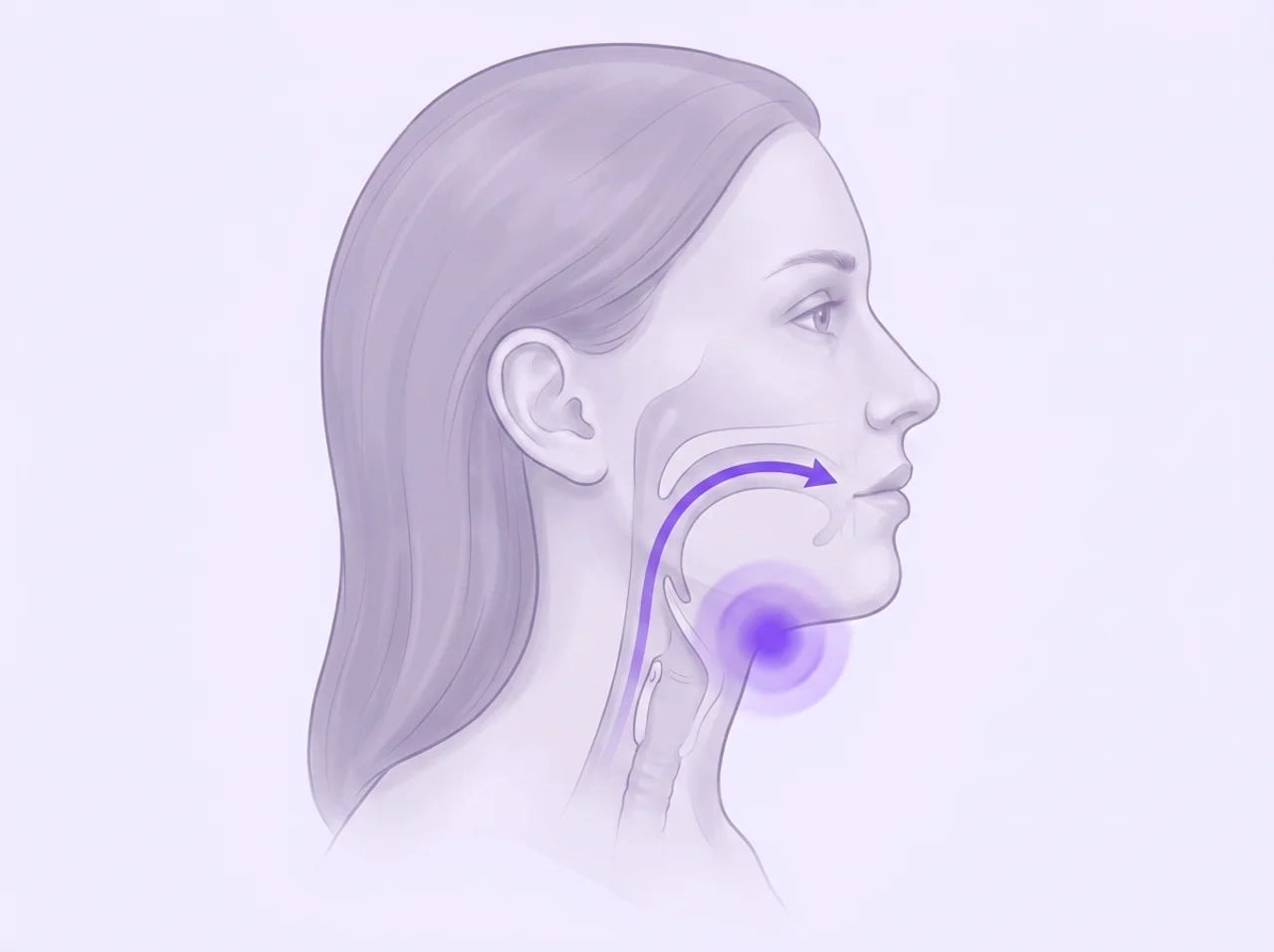 How BreathePulse tones the throat muscle to open the airway