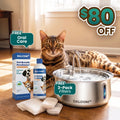 The Feline Fountain