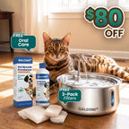 The Feline Fountain