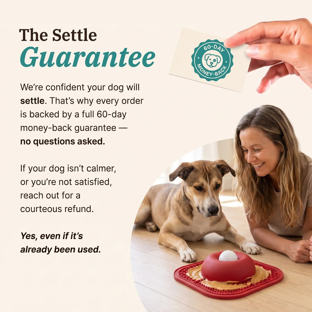 The Settle Feeder