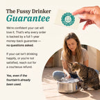 The Feline Fountain