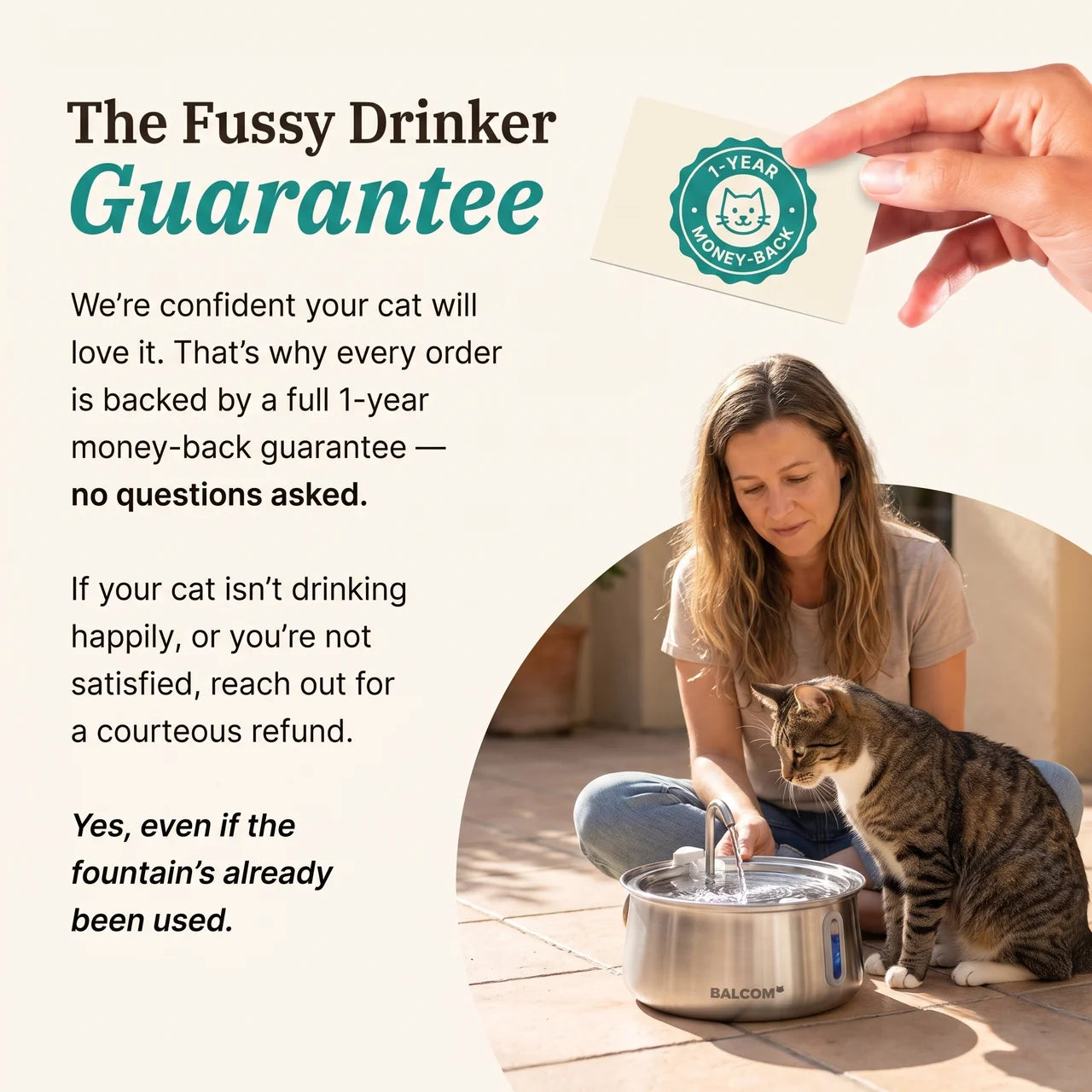 The Feline Fountain