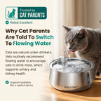 The Feline Fountain