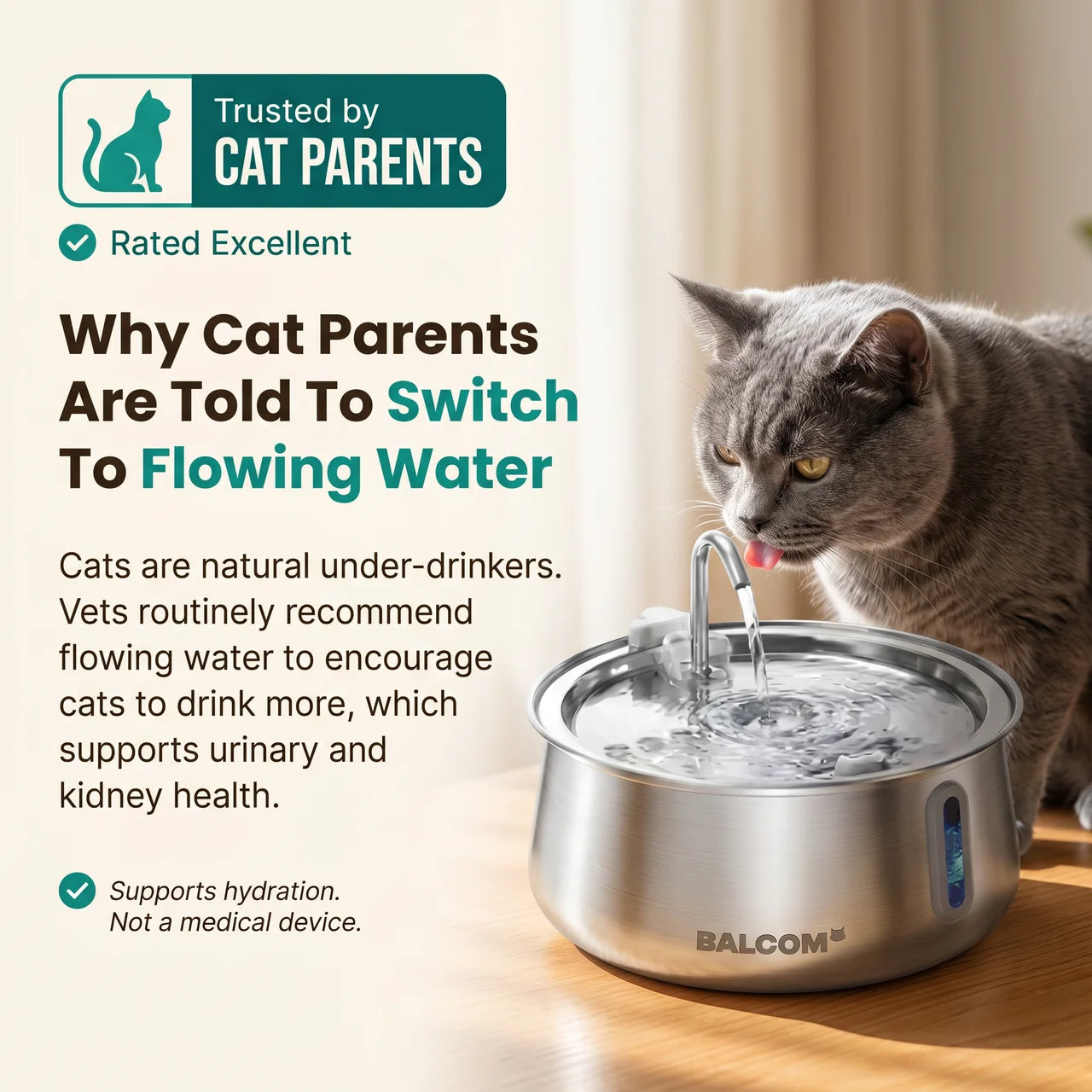 The Feline Fountain