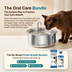 The Feline Fountain